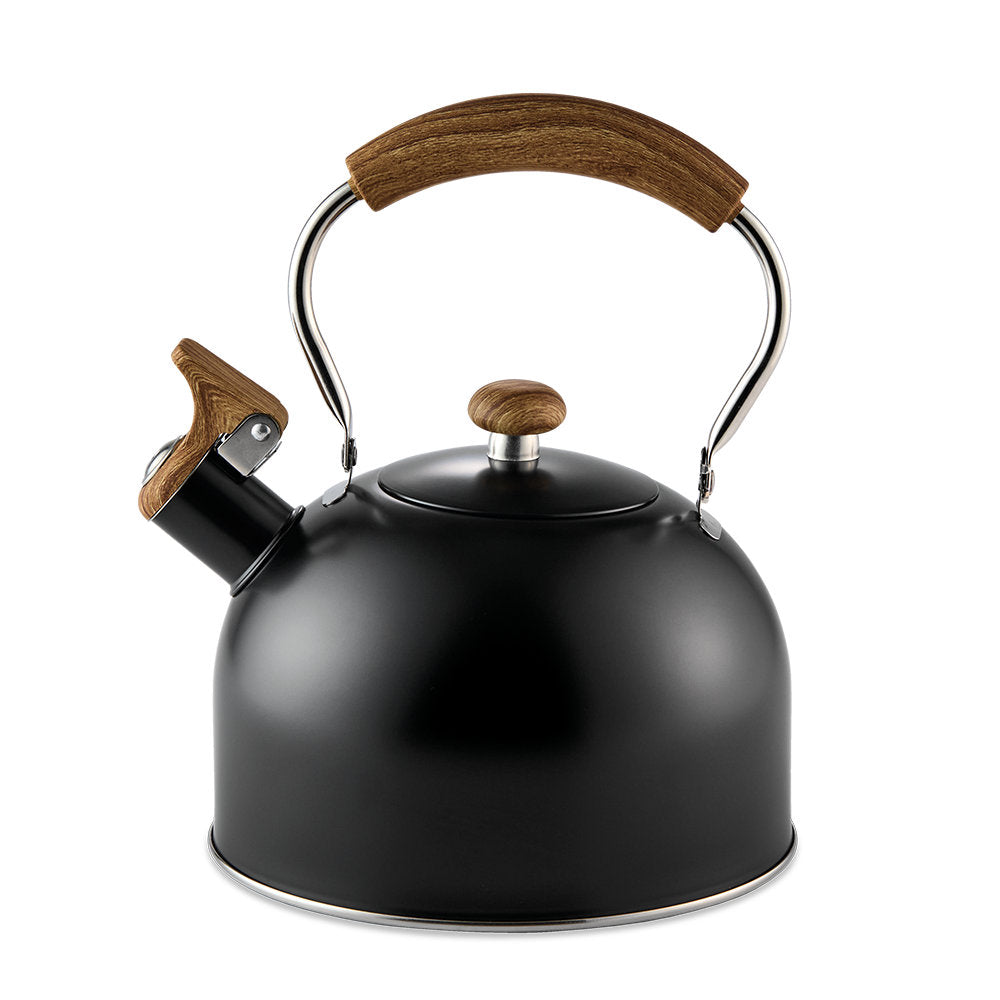 1047061_BC-BSTA-KETTLE-2_5L-BLACK_JPG_0a9dfaf6-5311-426c-947