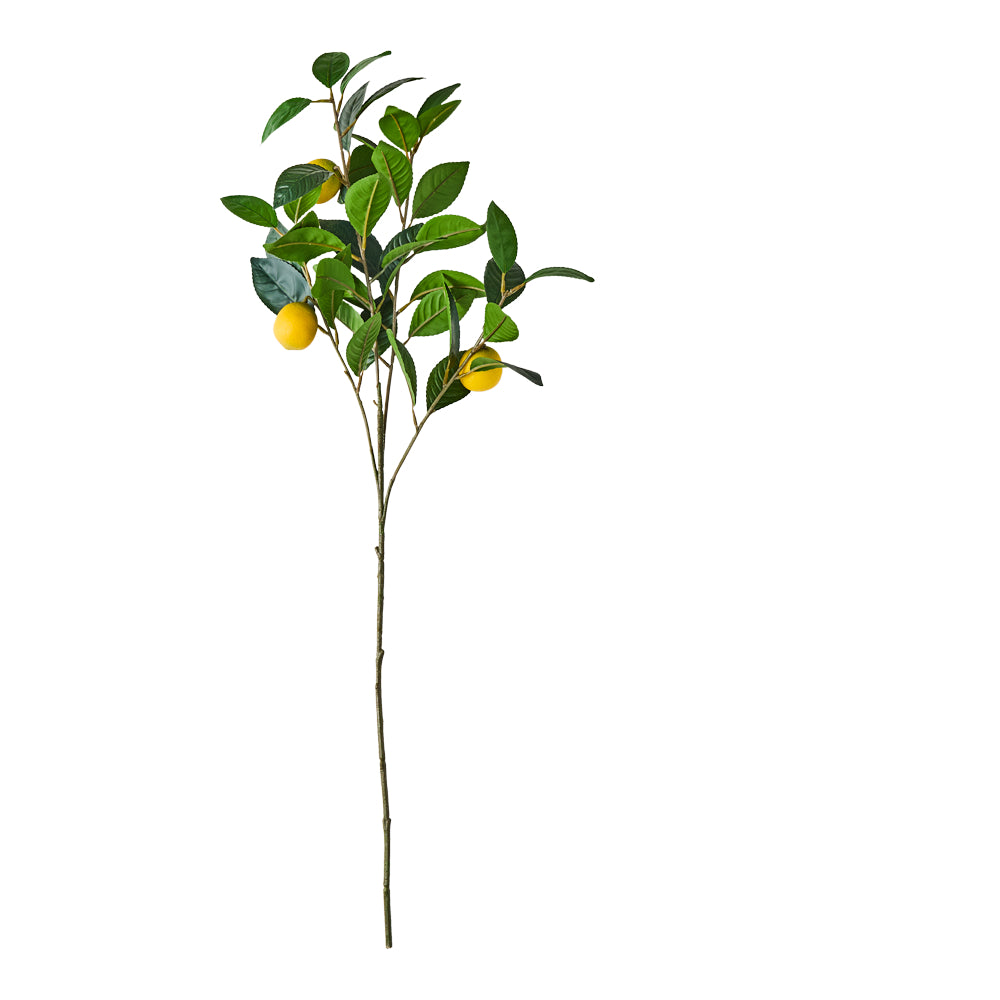 MyHouse Lemon Tree Branch Stem